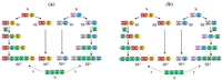 Genes 02 00516f3 200