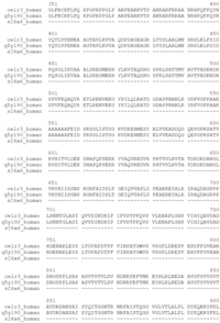 Genes 02 00578f1b 200