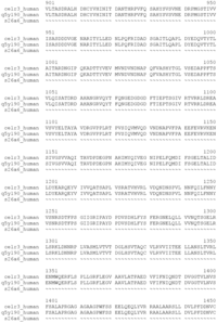 Genes 02 00578f1c 200