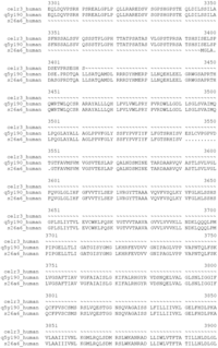 Genes 02 00578f1g 200
