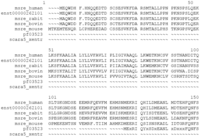 Genes 02 00578f2a 200