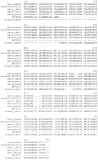 Genes 02 00578f2b 200