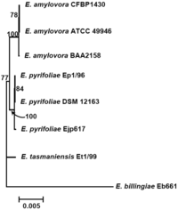 Genes 02 00627f1 200