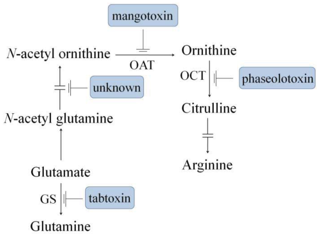 Genes 02 00640f1 1024