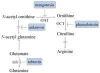 Genes 02 00640f1 200