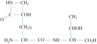Genes 02 00640f2 200