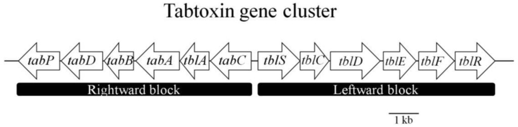 Genes 02 00640f3 1024