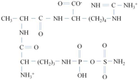 Genes 02 00640f4 200