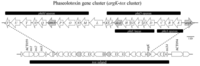 Genes 02 00640f5 200