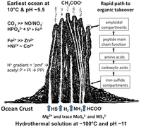 Genes 02 00671f1 200