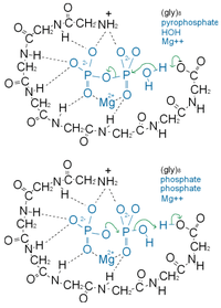 Genes 02 00671f3 200