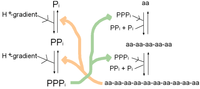 Genes 02 00671f4 200