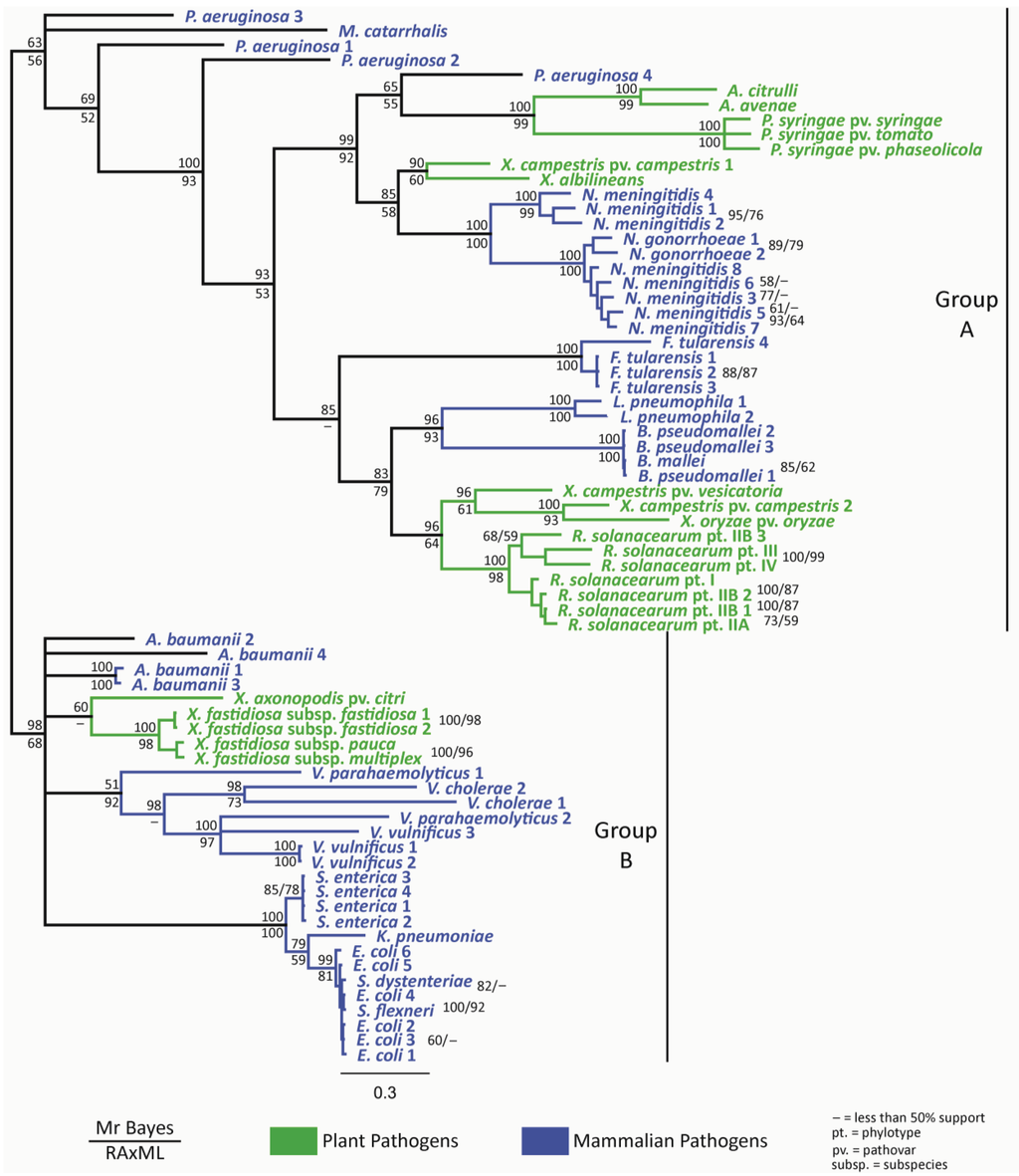 Genes 02 00706f2 1024