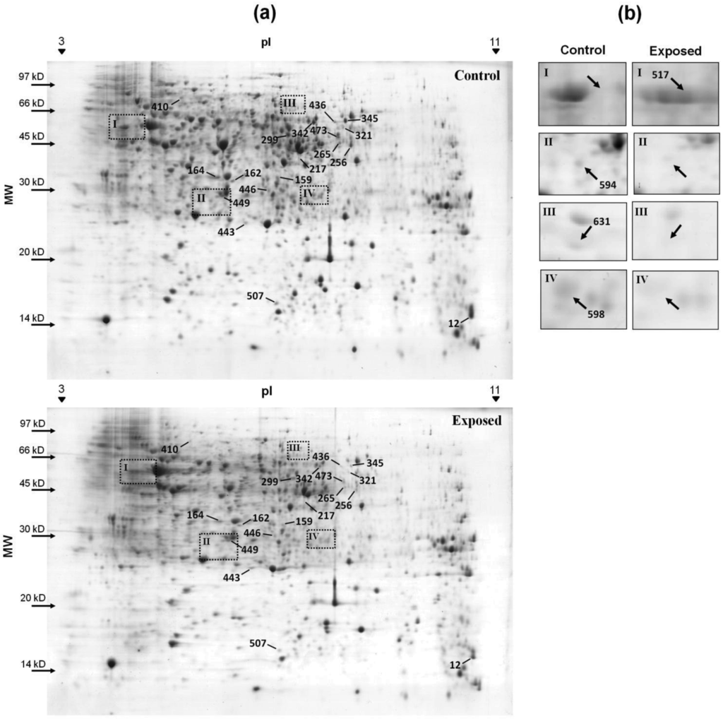 Genes 02 00736f2 1024