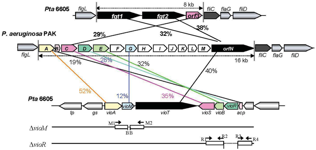 Genes 02 00788f1 1024