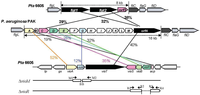 Genes 02 00788f1 200