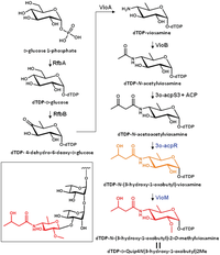 Genes 02 00788f3 200