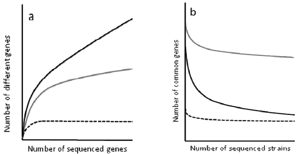 Genes 02 00804f2 1024