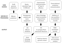 Genes 02 00841f2 200