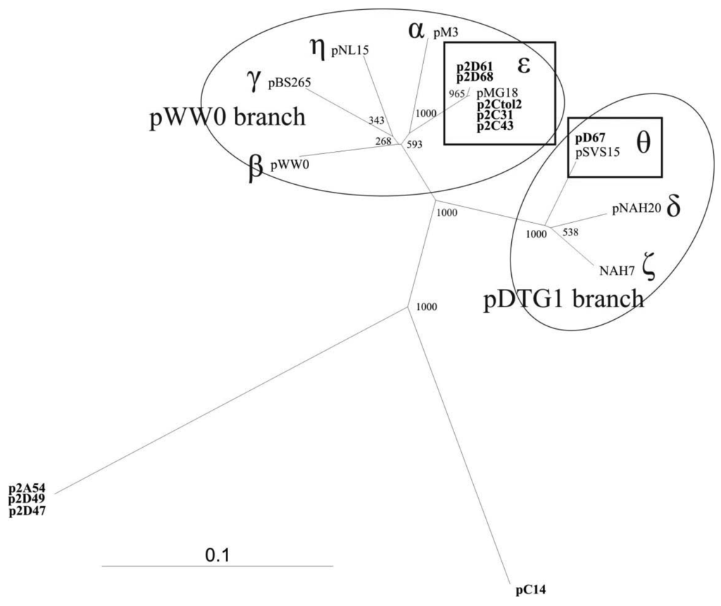 Genes 02 00853f1 1024