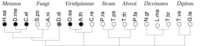 Genes 02 00912f1 200