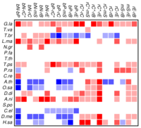 Genes 02 00912f3 200