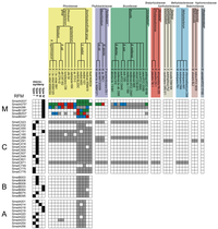 Genes 02 00925f3 200