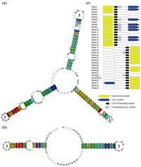 Genes 02 00925f4 200