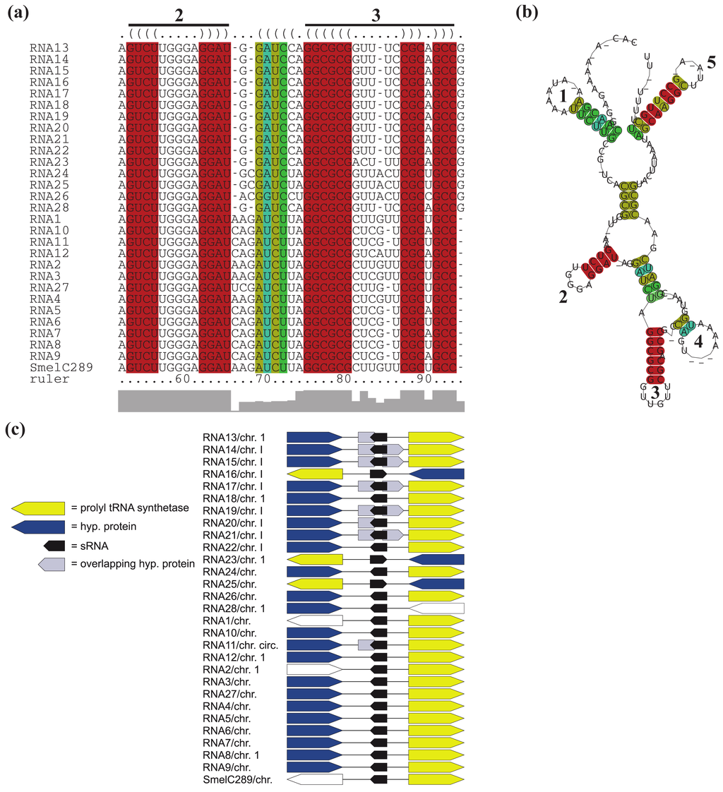Genes 02 00925f6 1024
