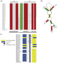 Genes 02 00925f6 200