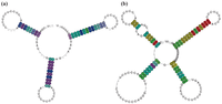 Genes 02 00925f7 200