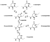 Genes 02 00998f3 200