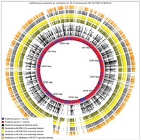 Genes 02 01050f4 200