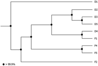 Genes 03 00001 g005 200