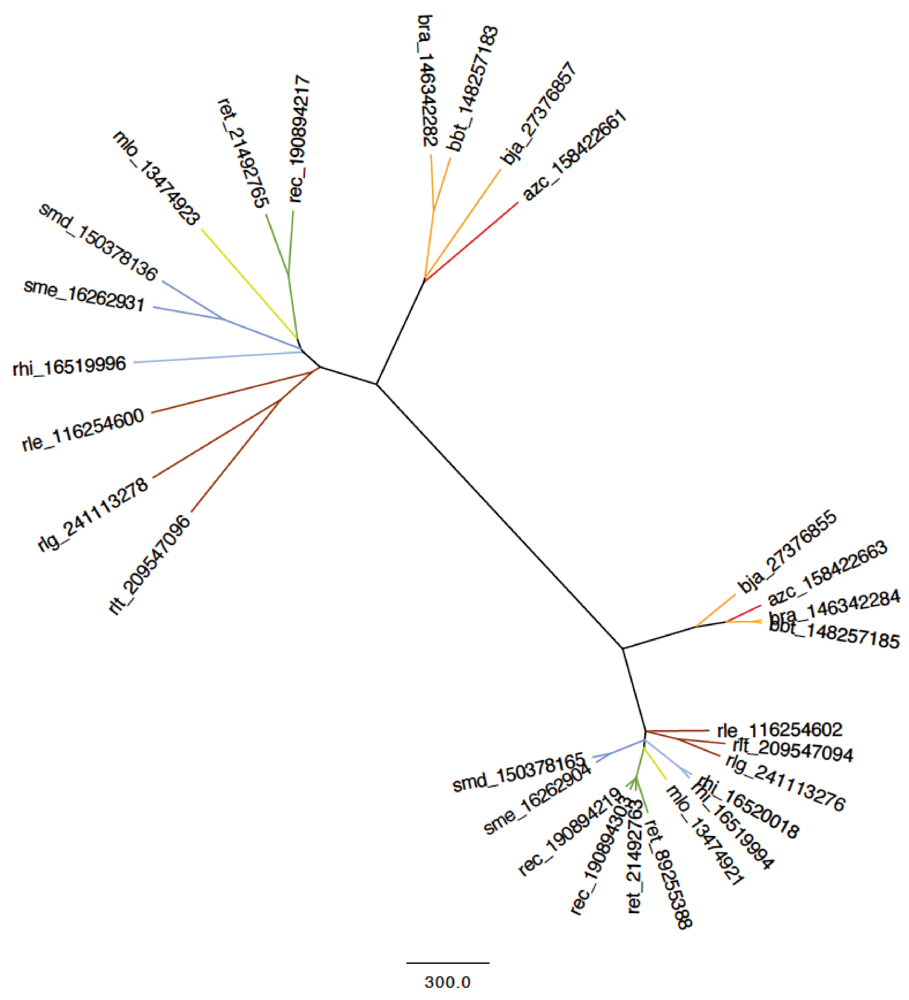 Genes 03 00138 g004 1024