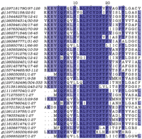 Genes 03 00291 g004 200