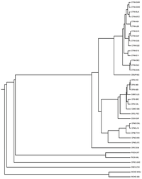 Genes 03 00291 g007 200