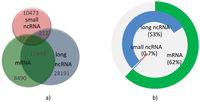 Genes 03 00344 g001 200