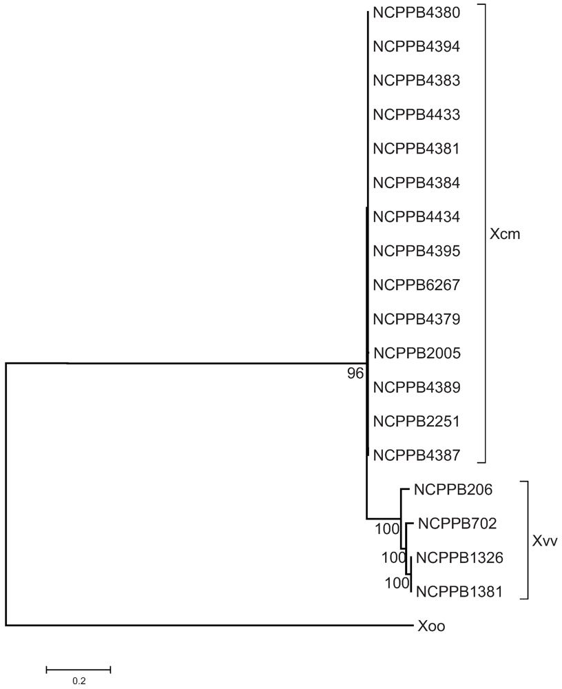 Genes 03 00361 g001 1024