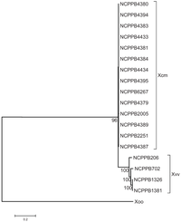 Genes 03 00361 g001 200