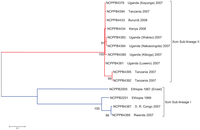 Genes 03 00361 g002 200