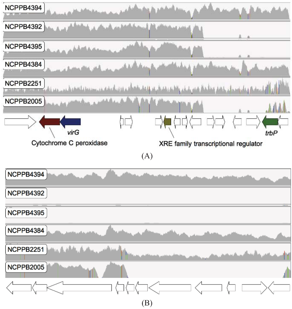 Genes 03 00361 g004 1024