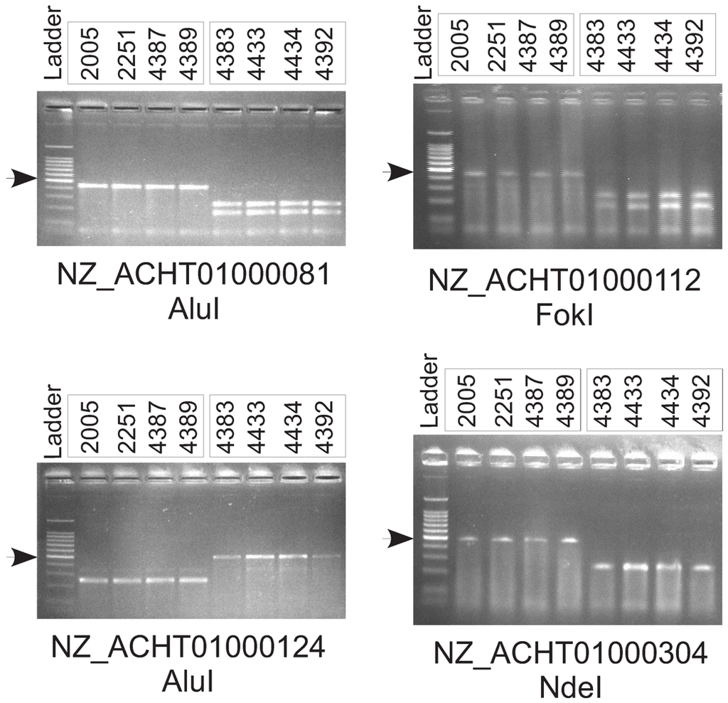 Genes 03 00361 g005 1024