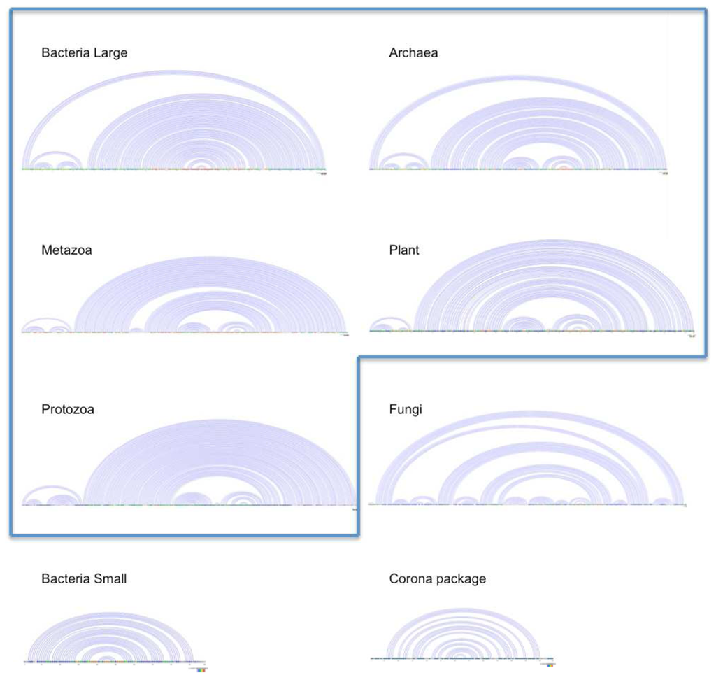 Genes 03 00378 g003 1024