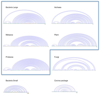 Genes 03 00378 g003 200
