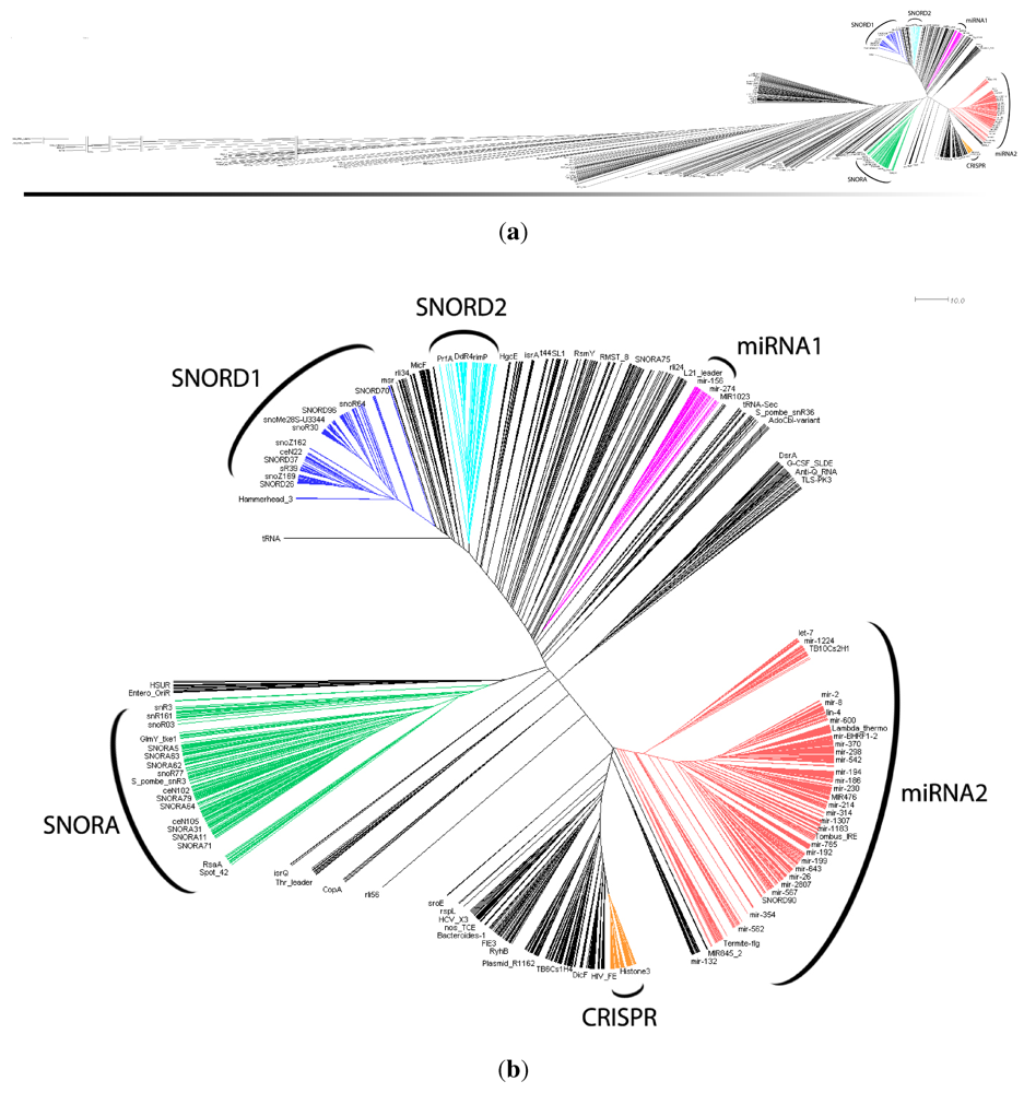 Genes 03 00378 g004 1024