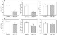 Genes 03 00391 g007 200