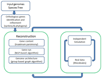 Genes 03 00423 g001 200