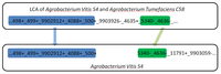 Genes 03 00423 g004 200
