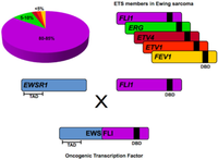 Genes 03 00444 g002 200